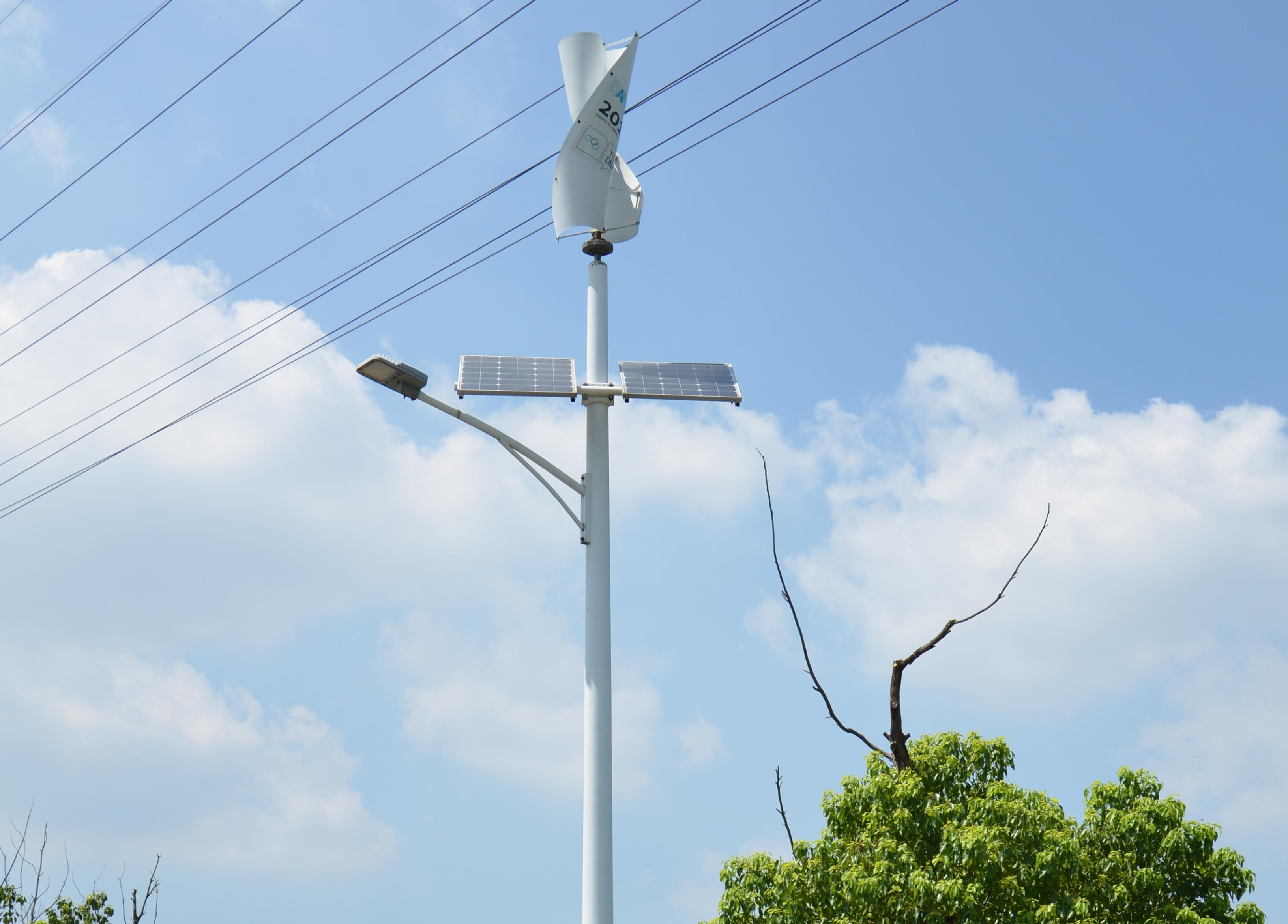 青奥会项目图片2